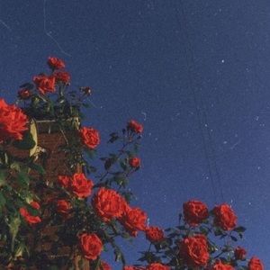 Meet your Posher, Freddy